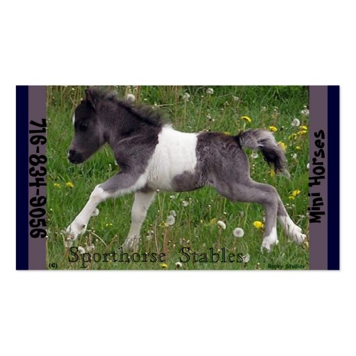 Mini Horse Business Card (front side)