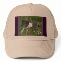 Mini Horse Hats