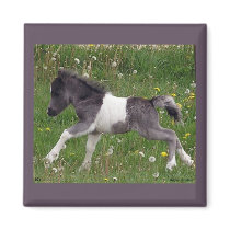 Mini Horse Magnet