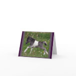 Mini Horse NoteCard