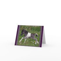 Mini Horse NoteCard
