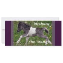 Mini Horse Custom Rack Card