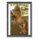 Mini-Horse standing up for himself! cards by simplyfocusedstudios Mini-Horse standing up for himself! cards