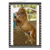 Mini-Horse standing up for himself! cards by simplyfocusedstudios Mini-Horse standing up for himself! cards