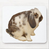 mini Lop Bunny mousepads