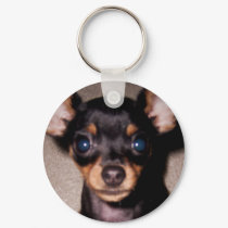 mini pinscher. keychains by asyrum mini pinscher. keychains