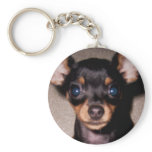 mini pinscher. key chains