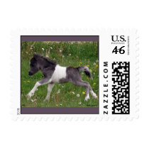 mini PostCard Postage