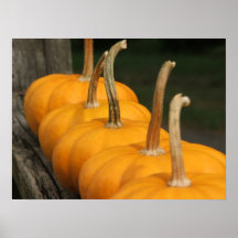 Mini Pumkins Print