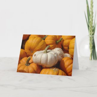 Mini Pumpkins, Thanksgiving card