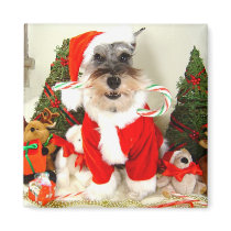 Mini Schnauzer Christmas Magnet by AngelaMini Mini Schnauzer Christmas Magnet