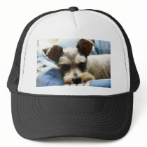 Mini Schnauzer Trucker Hat