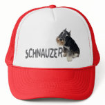 Mini Schnauzer hats