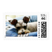Mini Schnauzer Stamp