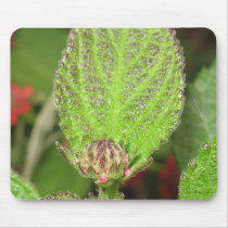 Mini Snowball Flower mousepads by gotalife Mini Snowball Flower mousepads
