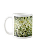 miniature, white, orchid, flower, photography
