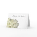 Mini White Roses "Save the Date" Card by vegasdusoleil Mini White Roses "Save the Date" Card
