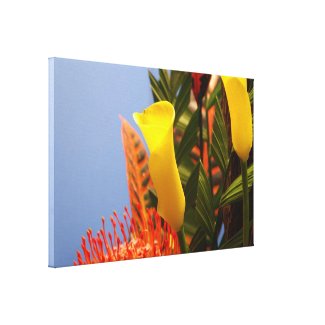 mini yellow calla lilies gallery wrap canvas
