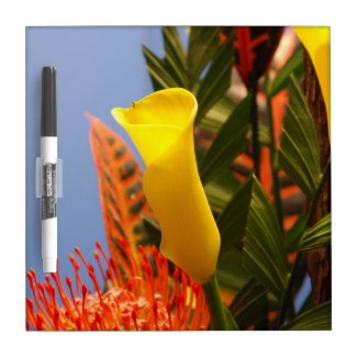 mini yellow calla lily dry erase boards