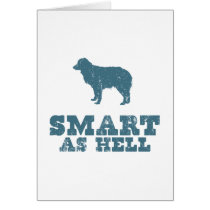 Miniature Australian Shepherd Cards