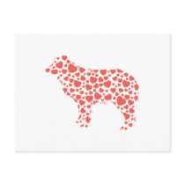 Miniature Australian Shepherd Post Card