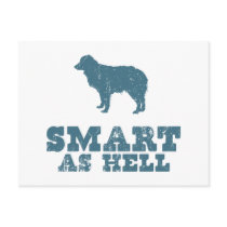 Miniature Australian Shepherd Postcards