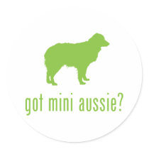 Miniature Australian Shepherd Round Stickers