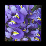 Miniature Blue Irises Magnet