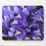 Miniature Blue Irises Mousepad