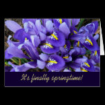 Miniature Blue Irises Spring Card (Blank Inside)
