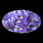 Miniature Blue Irises Sticker