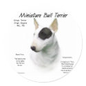 Miniature Bull Terrier History Design stickers by GreyWolfCreation Miniature Bull Terrier History Design stickers