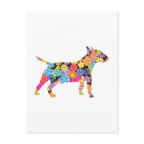 Miniature Bull Terrier Post Cards