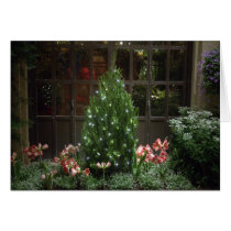 Miniature Christmas Tree cards