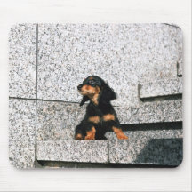 Miniature Dachshund 4 Mousepads