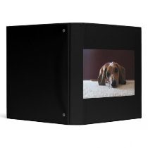 Miniature Dachshund Binders