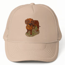 Miniature Dachshund Hat hats