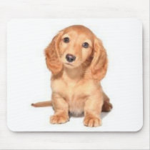 Miniature Dachshund Mousepad mousepads