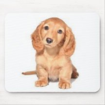 Miniature Dachshund Mousepad