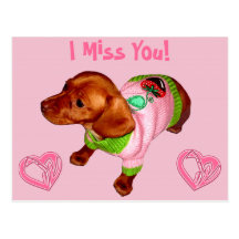 Miniature Dachshund Post Card