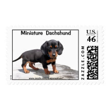 Miniature Dachshund Postage