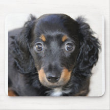 Miniature Dachshund Puppy Mouse Mats