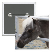 Miniature Horse buttons