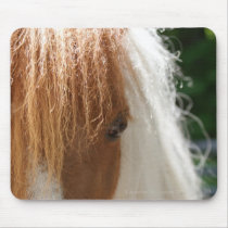 Miniature horse close up mouse pads