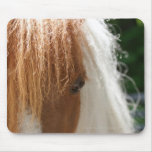 Miniature horse close up mousepads