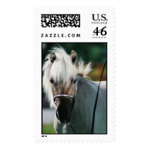 Miniature Horse Mare postage by mindyschroder Miniature Horse Mare postage