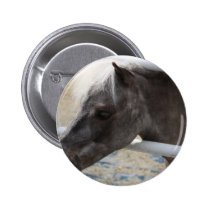 Miniature Horse buttons