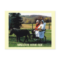 MINIATURE HORSE RIDE postcards by KABSANNIE MINIATURE HORSE RIDE postcards