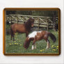 Miniature Horses Mousepads