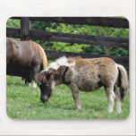 Miniature Horses mousepads